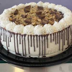 Moose Tracks with a Twist Ice Cream Cake